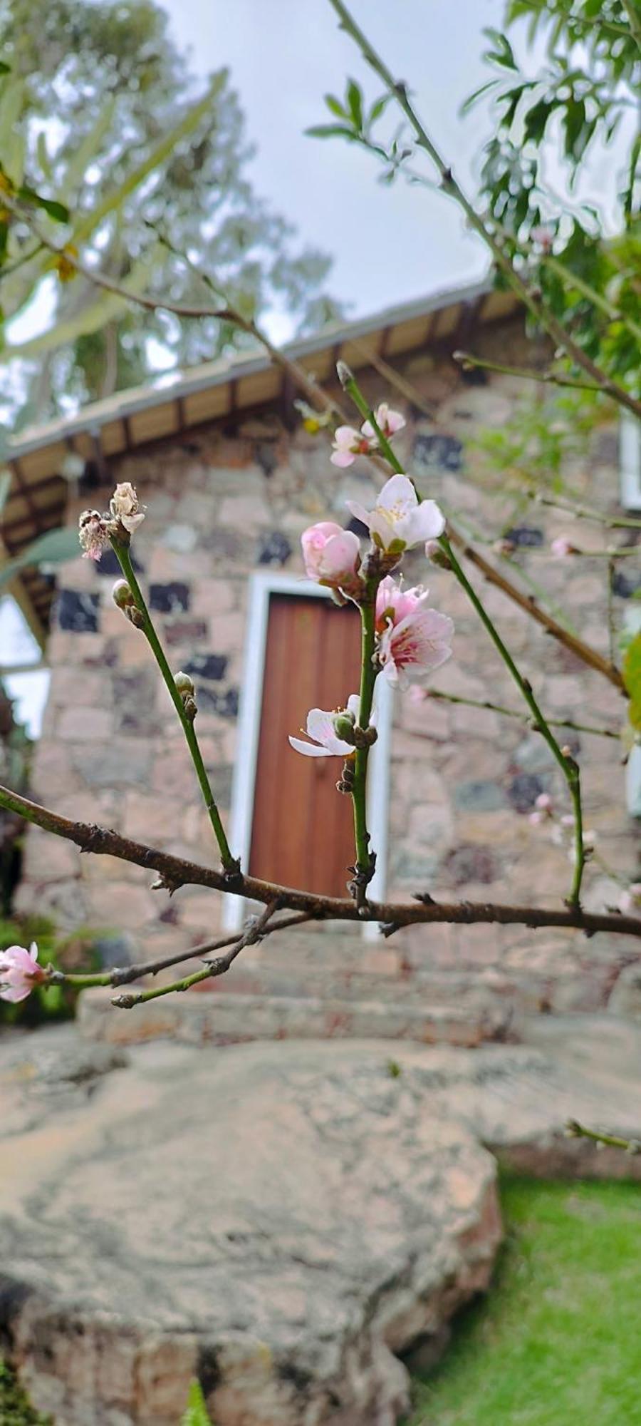 Villa Oforasteiro Mucugê Esterno foto