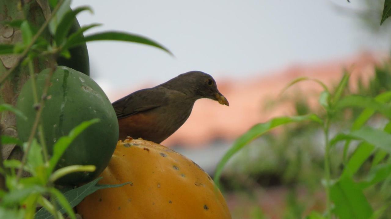 Villa Oforasteiro Mucugê Esterno foto